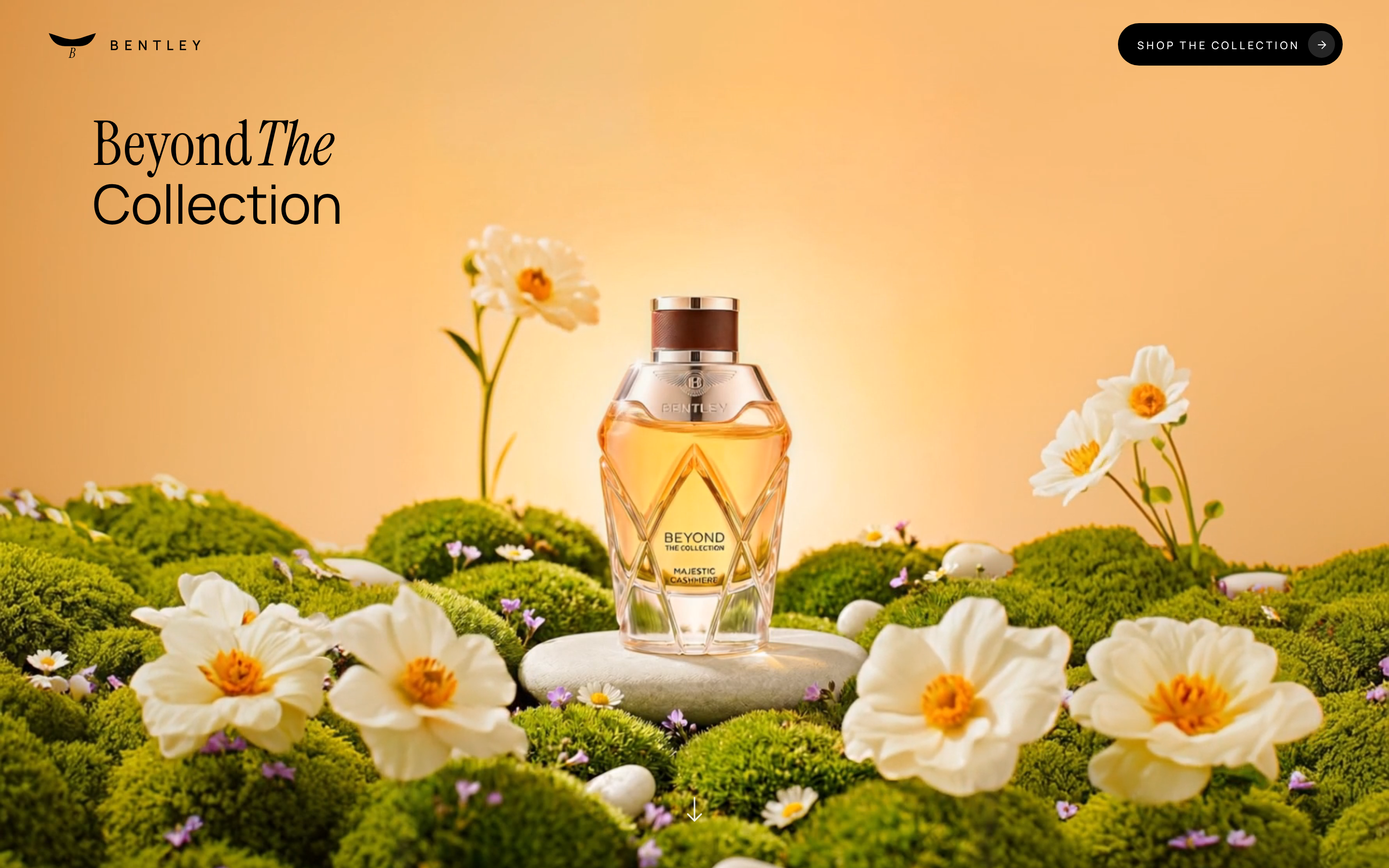 Luxury Botanical — Beyond The Collection preview